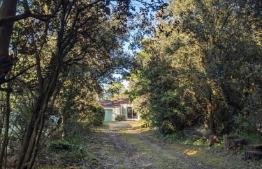 La Menounière - Maison Ile d'Oléron, 100m du bord de mer - Foto 2