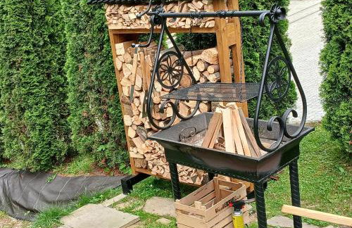 Toporowe Izby - Foto 3