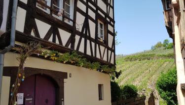 La Maison Vigneronne - Foto 2