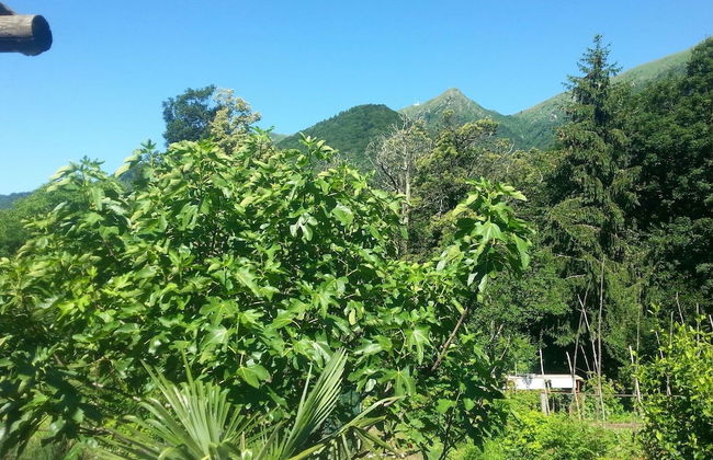 Casa Hürlimann Erholung Im Malcantone - Photo 31