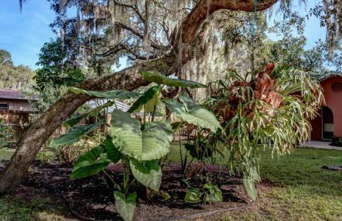 Lakeview Escape Kayaks - Foto 13