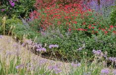 Casa Deluxe Alt Empordà Costa Brava - Private swimming pool - Foto 59