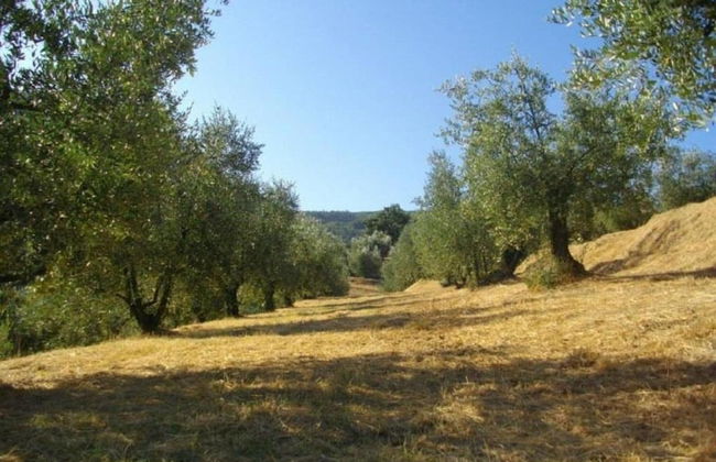 House in Pistoia Countryside - Foto 38