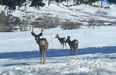 Wolf Creek Lodge Condo in Eden, UT - Relaxing Mountain Retreat - Foto 26