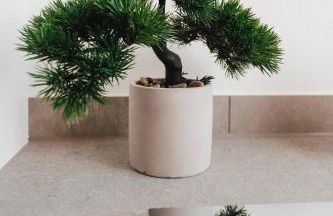 NEU I Stilvoll I Boxspring I Smart TV I Zentral - Foto 27