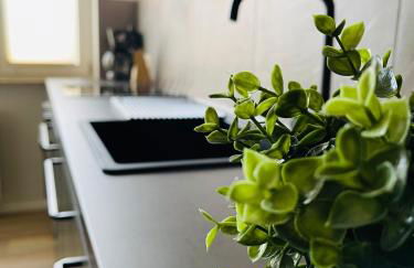 Ferienwohnungen Anne - Foto 3