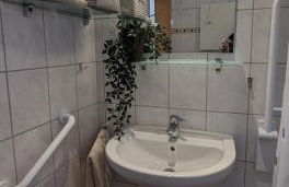 Pension am Park - Foto 67