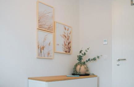 Fewo-am-Sonnenstrand - Foto 22