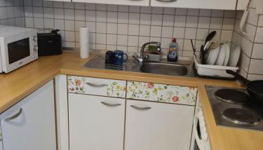 Privates Studio mit Balkon und Übernachtungsmöglichkeit in eine Wohngemeinschaft in der Nähe des Flughafens Leipzig,Halle - Foto 4, stove, toaster