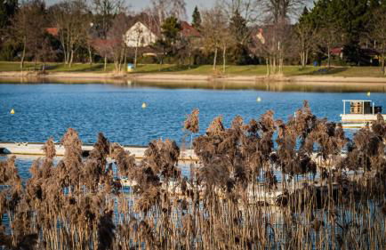 Ferienhaus Lucie Kiebitzsee - Foto 21