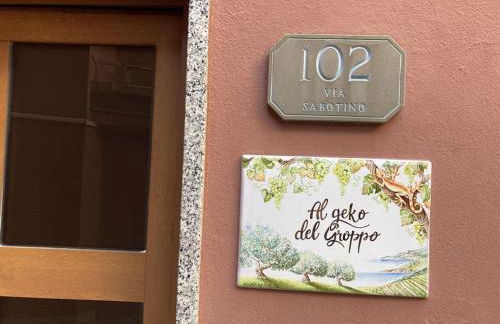 AL GEKO DEL GROPPO ☆ Breath & Relax ☆ 5 TERRE - Foto 8