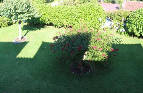 Chalet con piscina - Foto 8