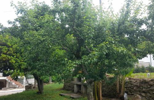 Casa da Pedrada - Foto 12