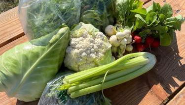 Tiny home on an organic croft, Isle of Arran - Foto 4