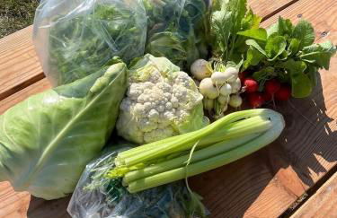 Tiny home on an organic croft, Isle of Arran - Photo 4