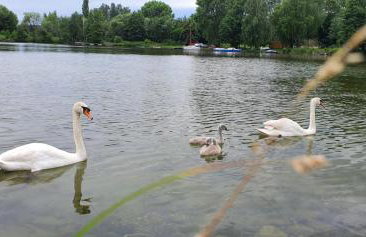 APARTAMENT WILKASY II (k. Giżycka ) - Foto 38