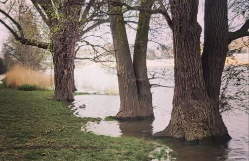 Charmant Studio sur cour à LYON 9e Mont d'or - Foto 30