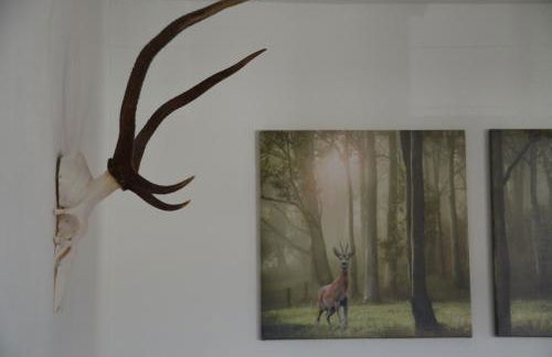 Ferienwohnung Fahrner - Foto 6