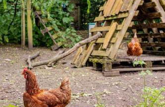 Cosy Cotswolds Retreat near Bath & Castle Combe - Photo 15