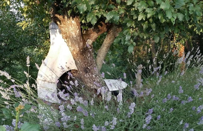 Frateria Di San Benedetto - Foto 56