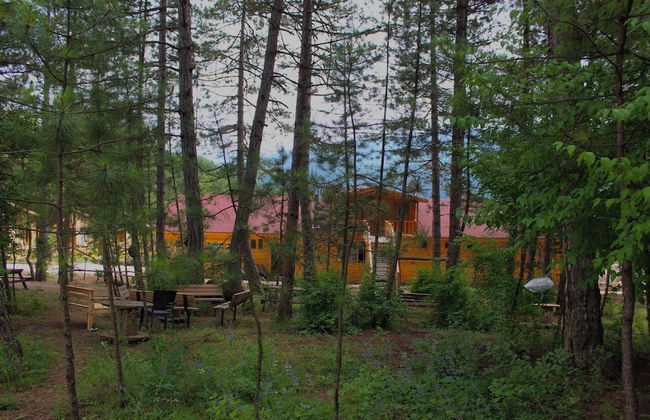 Koru Aura Mengen - Photo 25