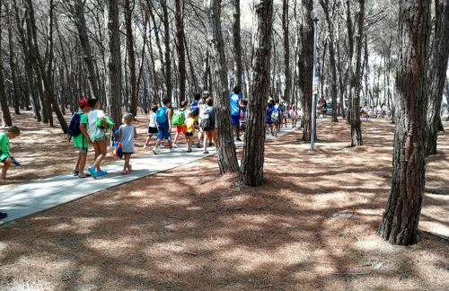 Le Ville di Porto Ada - Foto 34