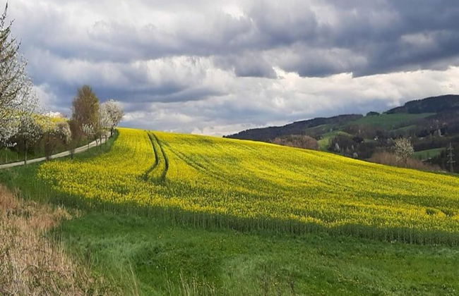 Apartment With Views of the Ore Mountains - Foto 30