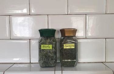 Siedlisko Wasilkowo. Odpoczynek na wsi - Foto 8