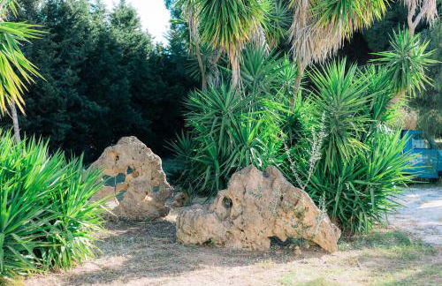 Tenuta Pizzi - Foto 13