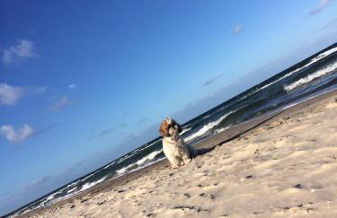 Ferienhaus mit Terrasse - Insel Usedom - Foto 37