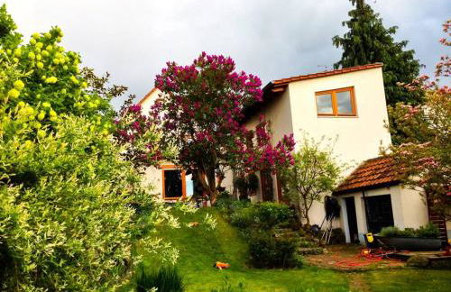 Herzensort - idyllisches Gästehaus für 2 im Garten - Foto 6