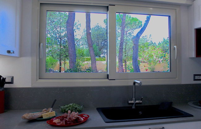 Villa Susy al mare - Photo 16