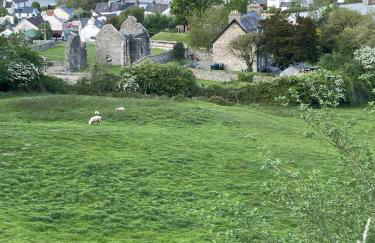 Bryntivy - a cheerful stone cottage close to beach - Foto 25