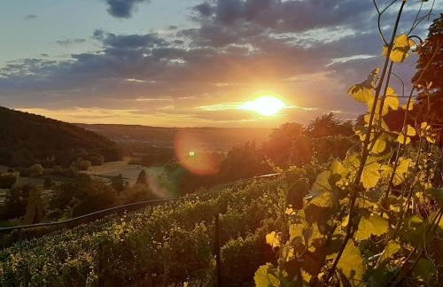 Apartment Vineyard-Suites FeWo by Interhome - Foto 26