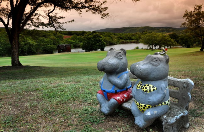 Kruger Park Lodge Unit 612 - Foto 39