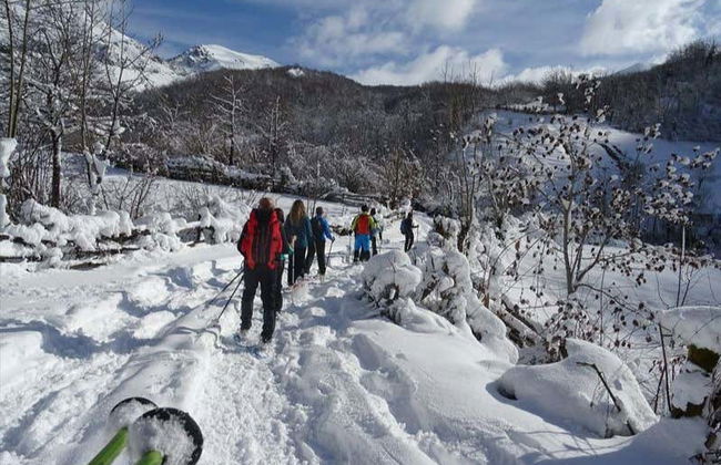 Torres Peak Snowshoe Hike - Foto 5