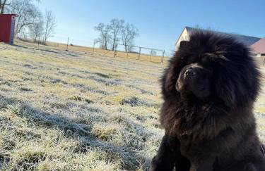 Siedlisko Stara Poczta Podlasie z jacuzzi, basenem i dużym ogrodem - Foto 60