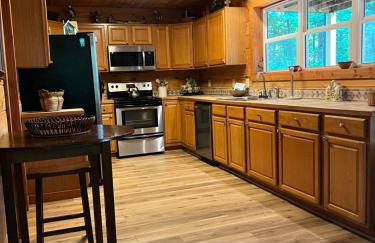 Endless Views Cabin - Foto 16