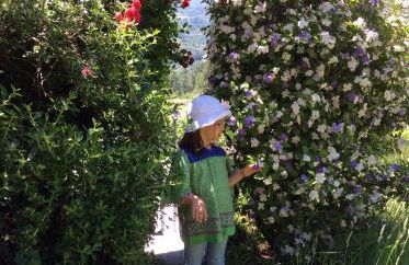 Family Secrets Douro - Foto 14