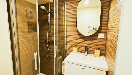 Apt in hyper center of Lannion, next to City Hall - Photo 5, Shower