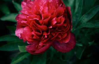 Blickinsfreie - Cabin - Foto 56