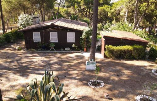 Casa da Lagoa - Foto 17