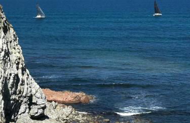 Reef View - Photo 33