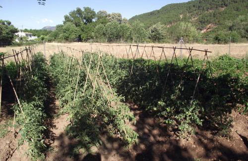 Casas Rurales Majana 1 - Foto 53