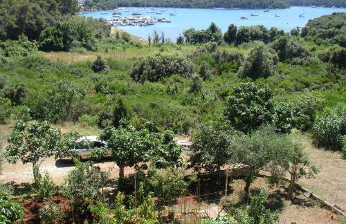 Brko Apartment - Foto 12