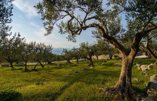 Villa Roza - Foto 59