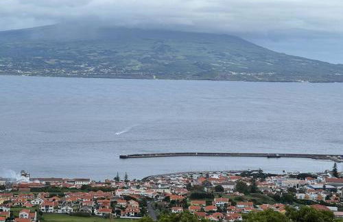 Casa das Palmeiras - Res. of Elizabete and Fatima - Foto 47