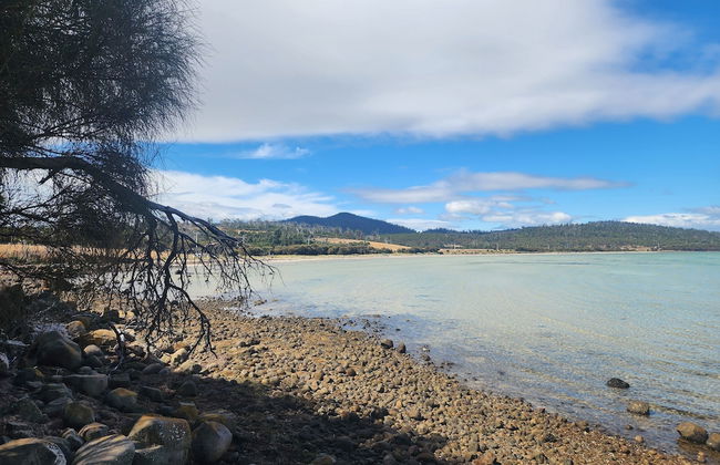 Flotsam Studio Accommodation - Photo 72