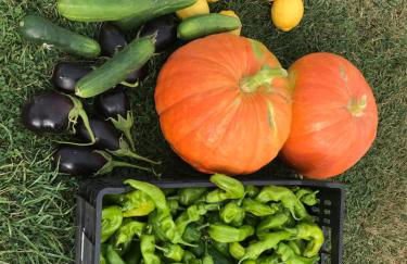 Casa de campo "La Campanera" - Photo 23