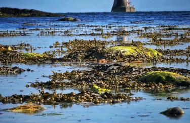 Beachside - Stunning sea view townhouse across the road from the beach - Foto 36